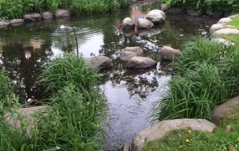 1D/2D modeling of the open stormwater system of Augustenborg using MIKE FLOOD by DHI 1D/2D modeling of the open stormwater system of Augustenborg using MIKE FLOOD by DHI